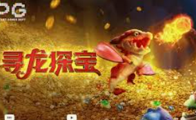 大小单双导师带赚包赔最新版