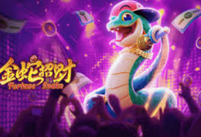 大小单双导师带赚包赔