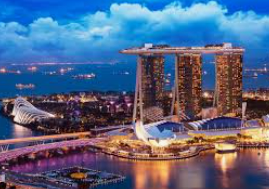 大小单双导师带赚包赔电脑免费版